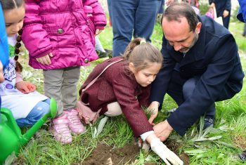 BUGÜNÜN KUŞAKLARININ DİKTİĞİ AĞAÇLARDA GELECEK NESİLLER SERİNLEYECEK – 490